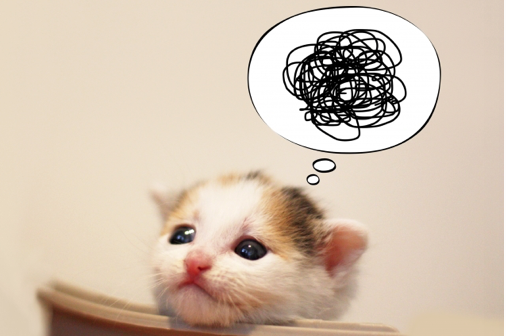 内祝いを断る方法 辞退したい方は必見 言い方や例文をご紹介 あいらぶこぺ